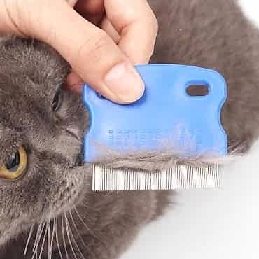 Kedi Köpek İçin Bit Pire Tarağı