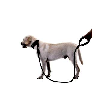 Reflektörlü Köpek Tasması 130 Cm.
