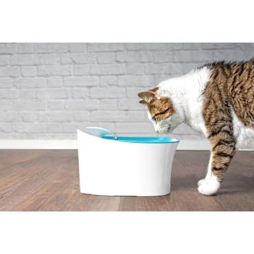 Otomatik Uyarılı Kedi Köpek Su Kabı