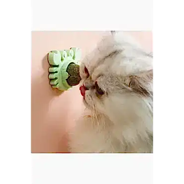 Yengeç Kedi Otu Oyun Topu