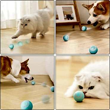 İnteraktif Kedi Köpek Şarjlı Oyun Topu
