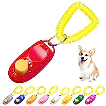 KÖPEK EĞITIMI CLICKER