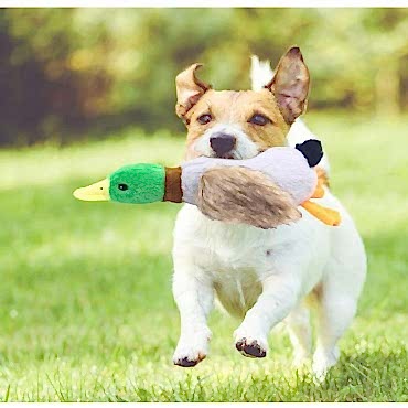 Sesli Ördek Şekilli Peluş Köpek Oyuncağı