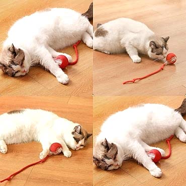 Şarjlı Kedi Oyuncağı