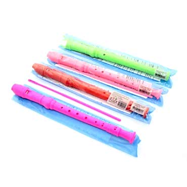 Renkli Plastik Flüt 