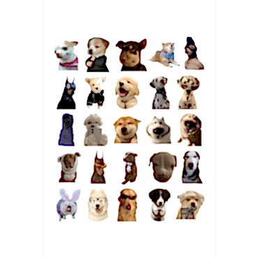 Sevimli Köpek Çıkartmaları Laptop Notebook Tablet Sticker Seti