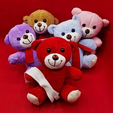 Renkli Peluş Ayıcık