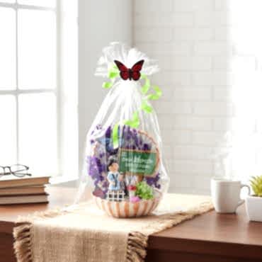 Mini Midye Teraryum - Öğretmenler Günü Hediyesi