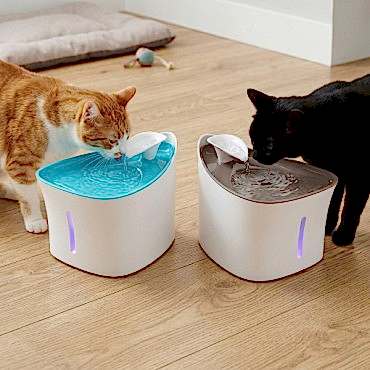 Otomatik Kedi Su Pınarı 